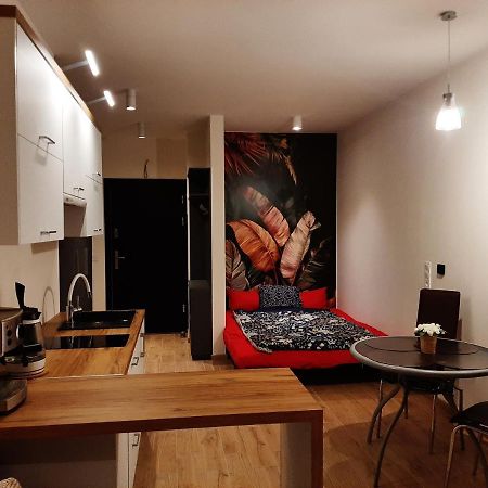 Apartament Pod Szyndzielnia, Debowiec Μπιέλσκο-Μπιάλα Εξωτερικό φωτογραφία