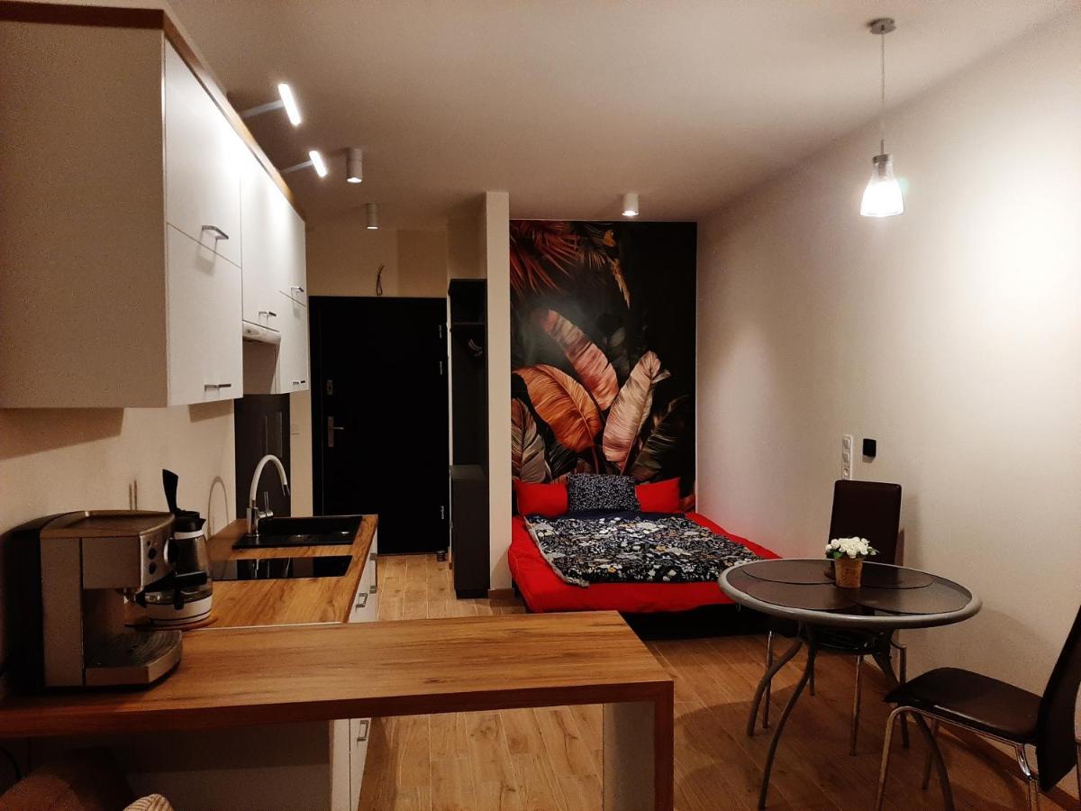 Apartament Pod Szyndzielnia, Debowiec Μπιέλσκο-Μπιάλα Εξωτερικό φωτογραφία
