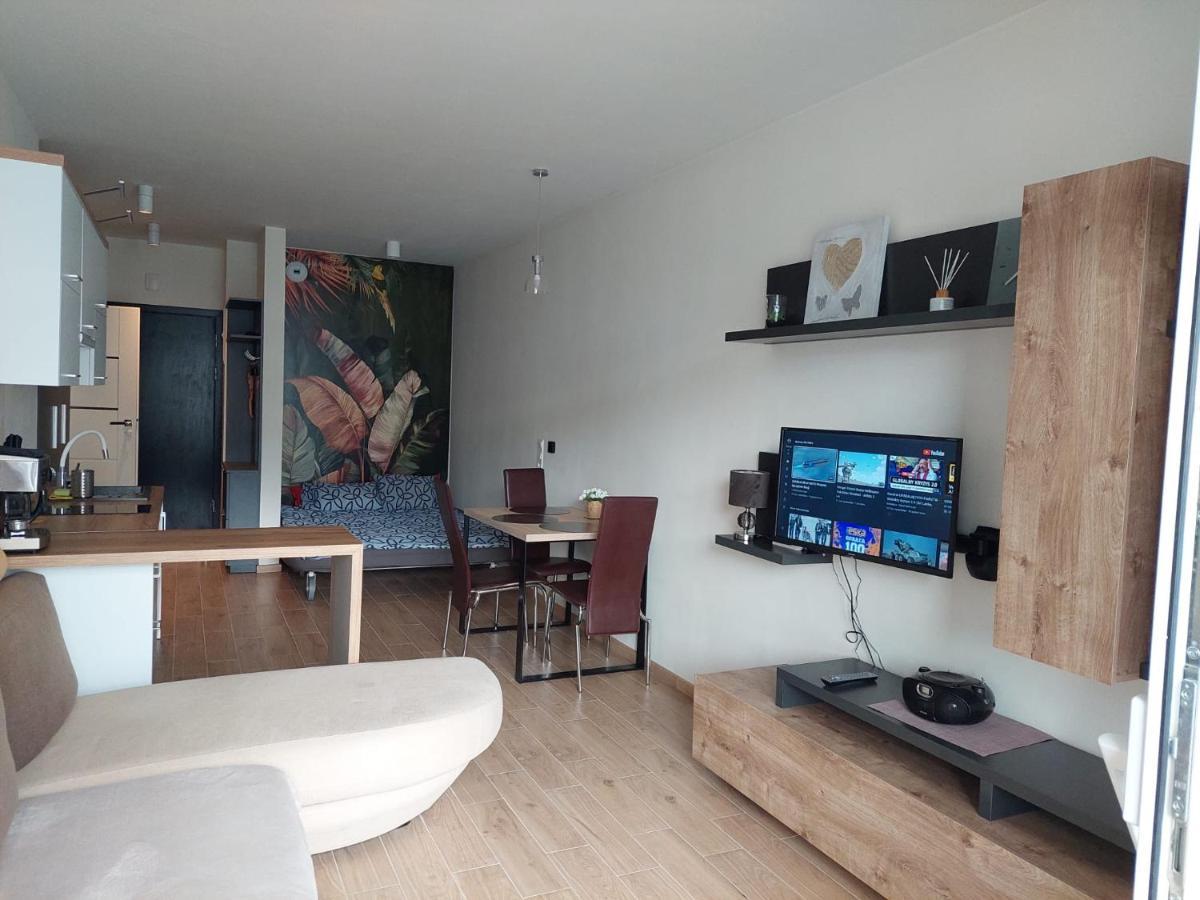 Apartament Pod Szyndzielnia, Debowiec Μπιέλσκο-Μπιάλα Εξωτερικό φωτογραφία