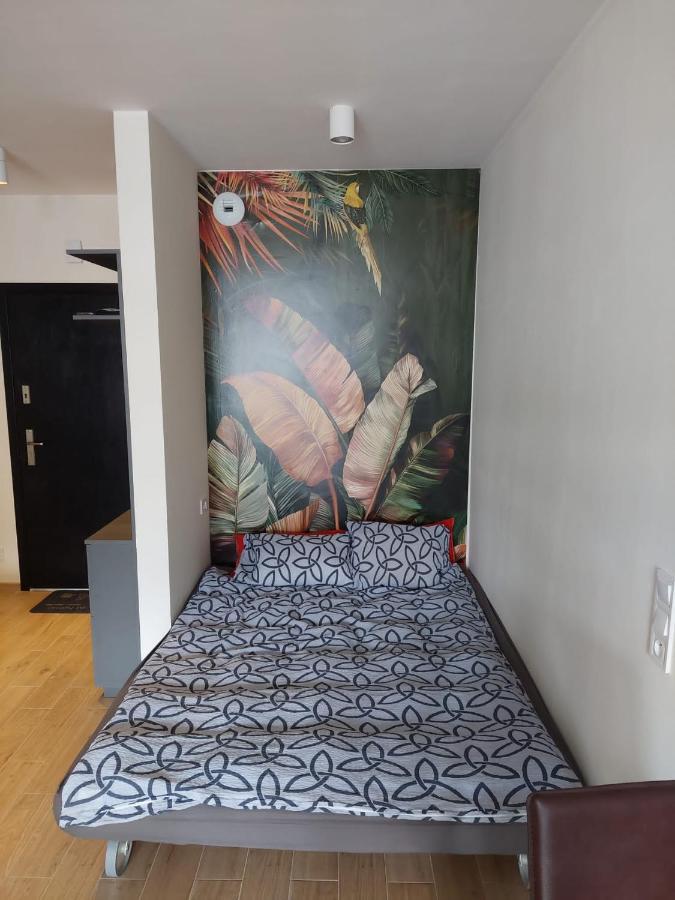 Apartament Pod Szyndzielnia, Debowiec Μπιέλσκο-Μπιάλα Εξωτερικό φωτογραφία